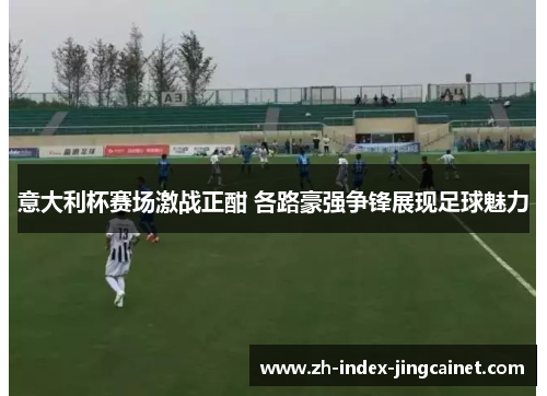 意大利杯赛场激战正酣 各路豪强争锋展现足球魅力